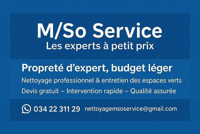 Service de nettoyage et entretien d'espace vert